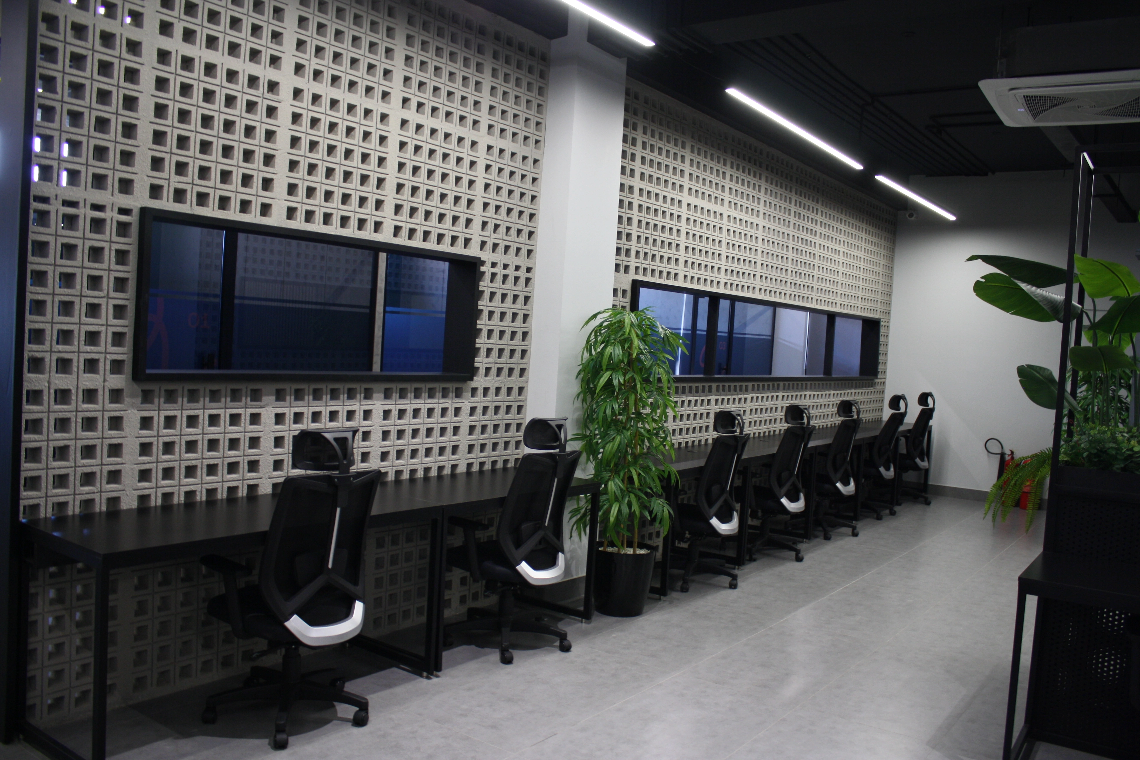 Dedicated desks with natural light